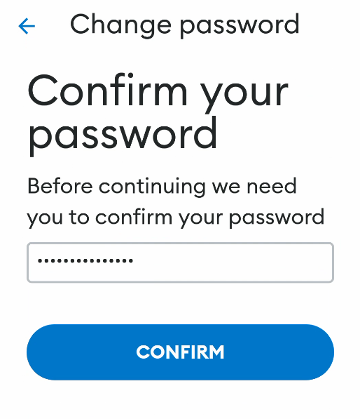 Entering password to confirm before changing password