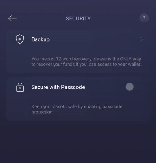 Security settings in Exodus